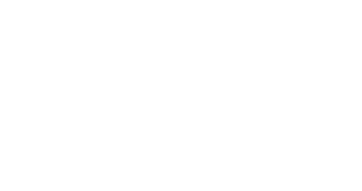 Quiksilver